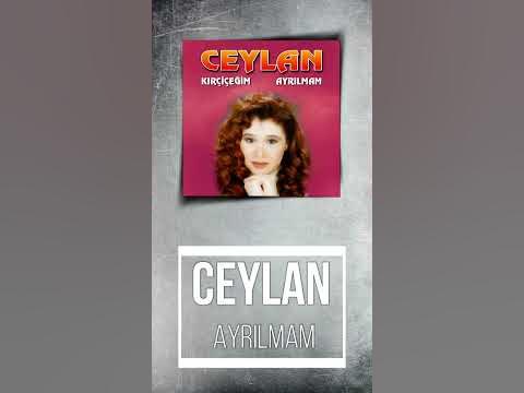 Ceylan - Ayrılmam / Kır Çiçeğim — Murat Kurşun