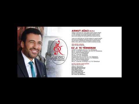 Zakir Zerel - Daha Ne İstiyorsun — Murat Kurşun