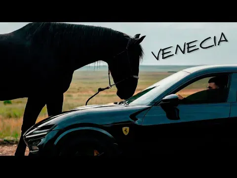 Purosangue / VENECIA MUZ — Jakone, MACAN