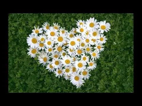 Тебе одной — Сергей Тимошенко