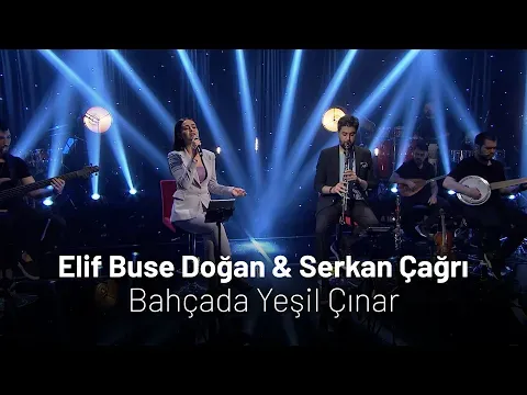 Bahçada Yeşil Çınar — Elif Buse Doğan