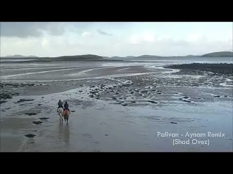 Aynam Remix (Shad Ovez) — Palivan
