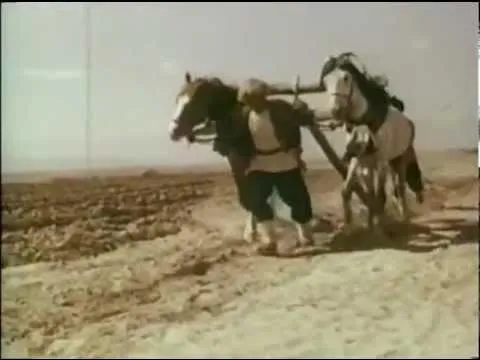 Aynam — Aygytly Adim