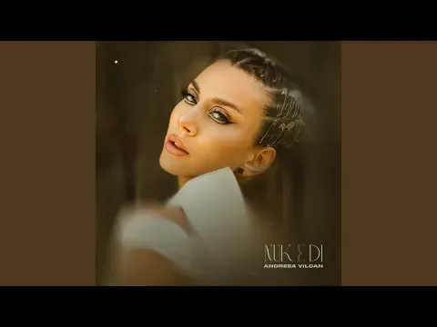 Nuk e di (Preview) — Andreea Vilcan