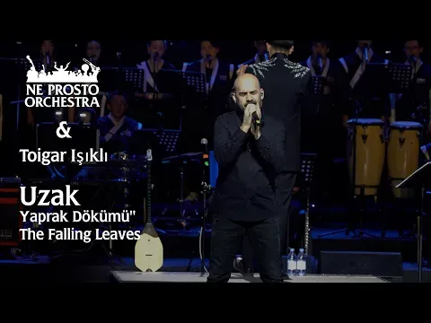Yaprak Dökümü - Toygar Işıklı & Ne Prosto Orchestra — Ne Prosto Orchestra