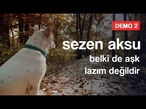 Belki De Aşk Lazım Değildir — Sezen Aksu