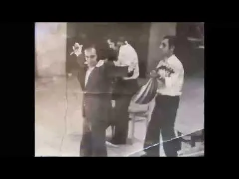 Zəminə — Niyaməddin Musayev