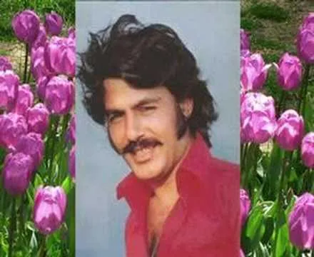 Ferdi TAYFUR-Ben de Özledim — unknown