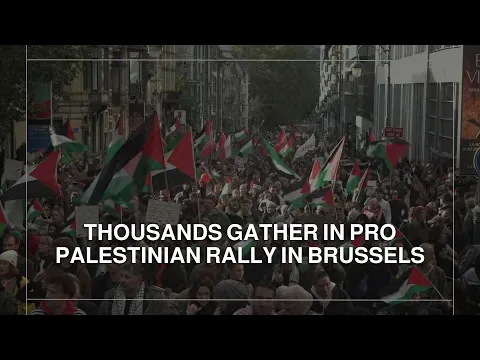 Thousands gather in pro-Palestinian rally in Brussels — Roya News English
