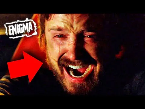 Body Language Analyst Reacts To Breaking Bad FINAL Scene… — enigma
