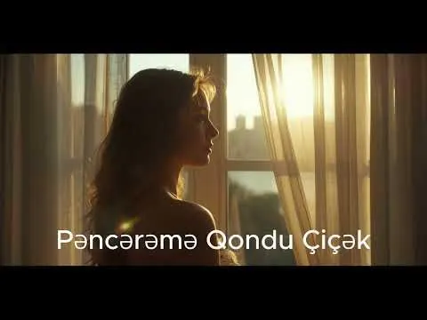 Pəncərəmə Qondu Çiçək — melobar