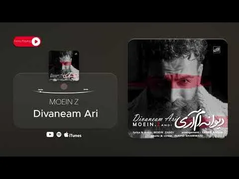 Divaneam Ari ( معین زد - دیوانه ام آری ) — MOEIN Z