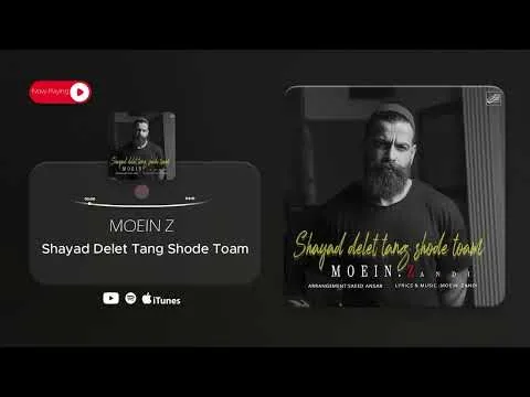 Shayad Delet Tang Shode Toam ( معین زد - شاید دلت تنگ شده توام ) — MOEIN Z