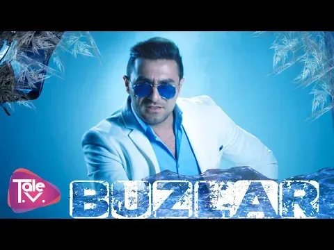 Buzlar — Talıb Tale