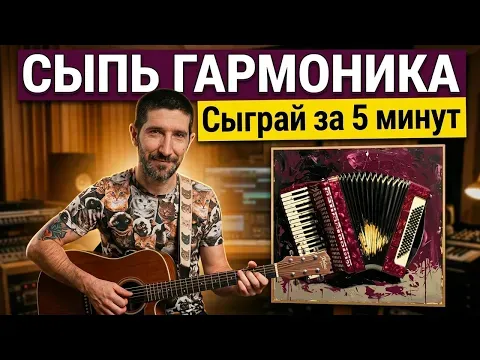 СДП - Сыпь ГАРМОНИКА! Короткий разбор + аккорды! — Как играть на ГИТАРЕ