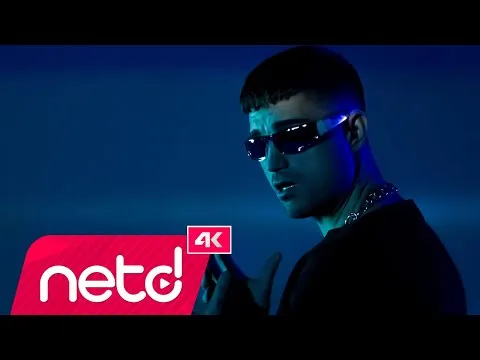 Piç — netd müzik