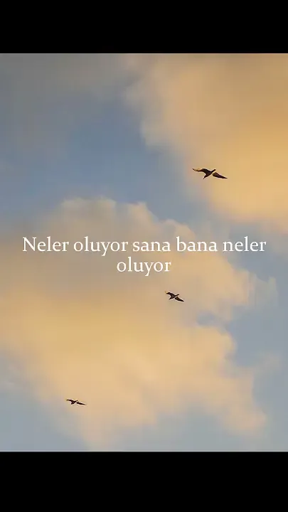NELER OLUYOR BİZE — İLHAN ŞEŞEN