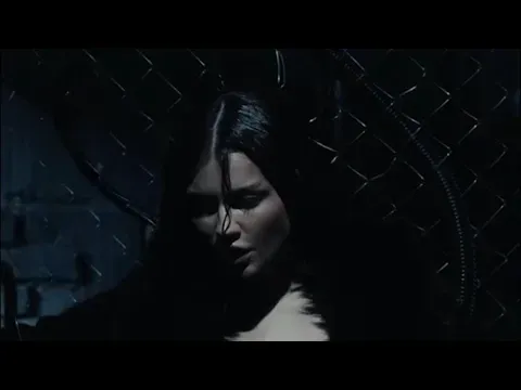 Феникс — BEARWOLF