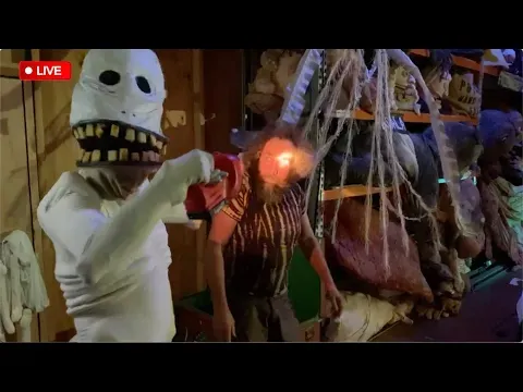 Livestream with Swamp Puppets — Snuff Puppets