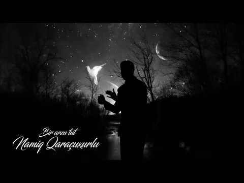 Bir arzu tut (KARAOKE) — Namiq Qaraçuxurlu